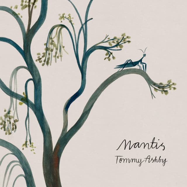 Cover for Mantis